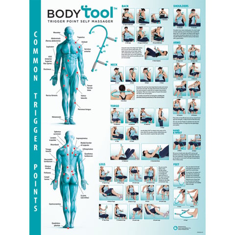 vibration massager for trigger points Sharper Image Multi-Function Shiatsu Full Body Cordless Massager main image 0
