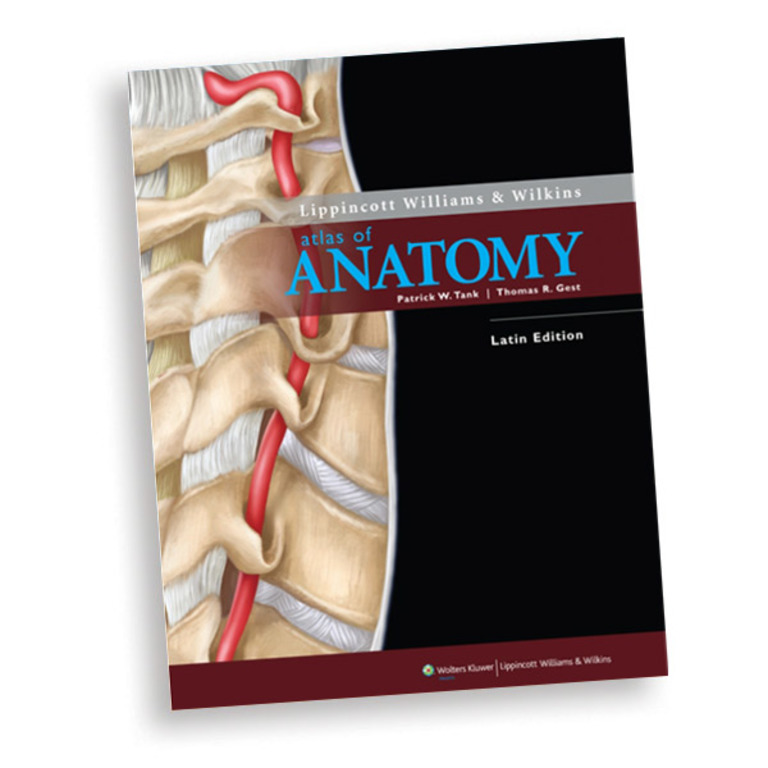 Lippincott Williams & Wilkins Atlas of Anatomy Musculature Chart: Upper Limb:  Anatomical Chart Company: 9781605471037: : Books